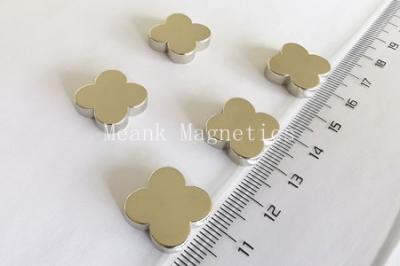 Flower Neodymium Magnets